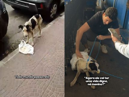 Cachorro abandonado desde o nascimento é resgatado após ser ignorado por dezenas de pessoas