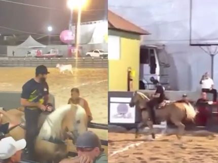 Henrique, dupla de Juliano, cai de cavalo durante competição de vaquejada em Pernambuco - Portal Leo Dias